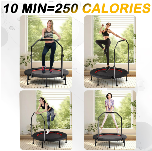 Mersco 40'' Mini Fitness Trampoline Quiet Exercise Rebounder for Home, Cardio and Strength Training, Indoor Sports Trampoline with Adjustable Handle Bar, Standard Spring,Black